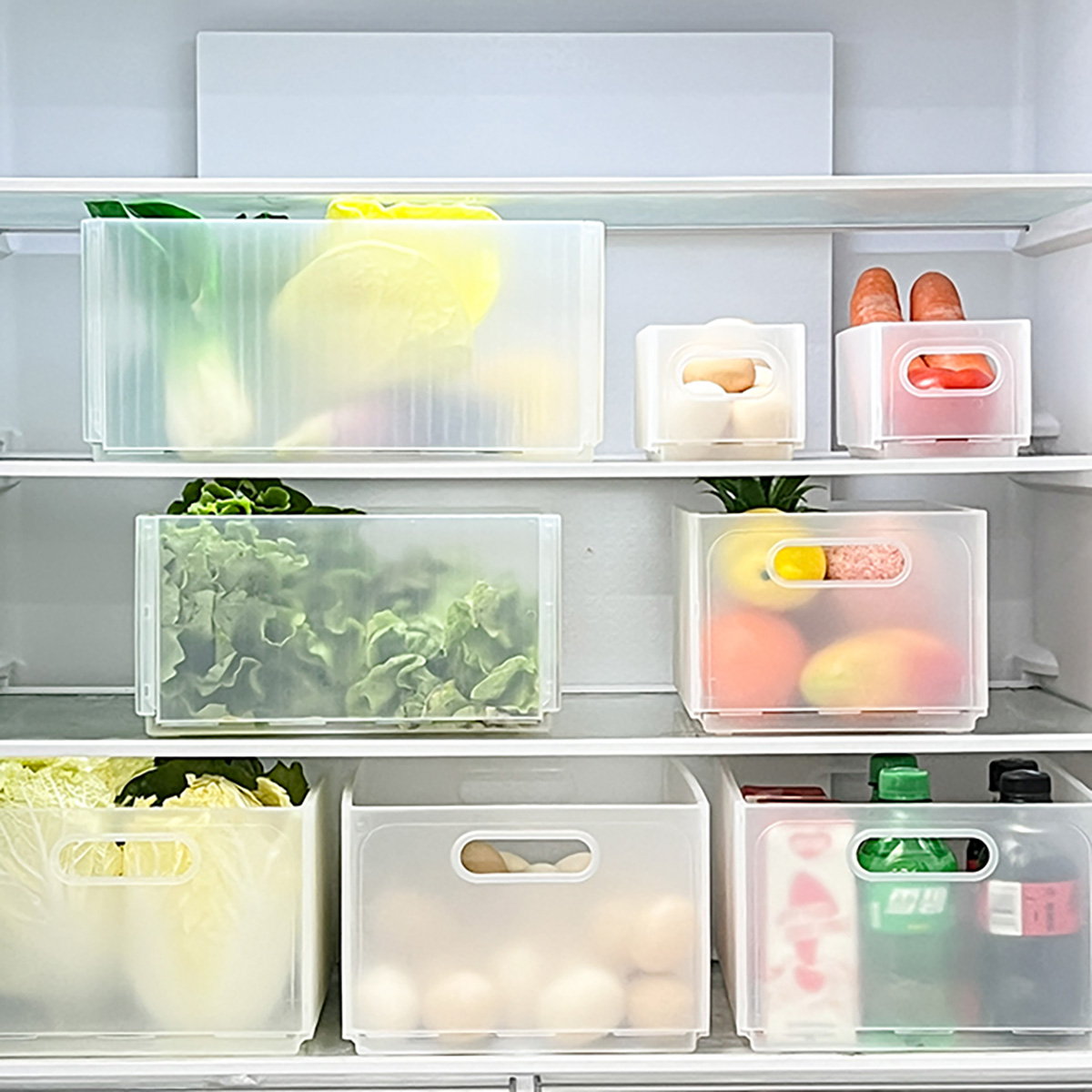 WORTHBUY Plastic Folding Fridg - огляд і ціна Food Storage With Dividers