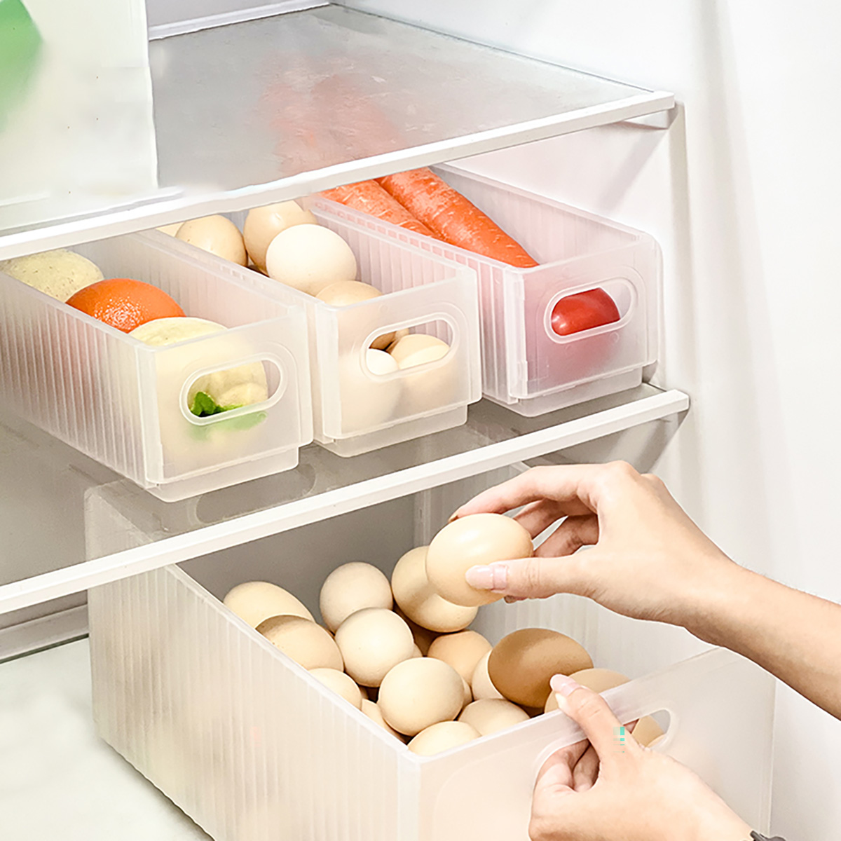 WORTHBUY Plastic Folding Fridg - огляд і ціна Food Storage With Dividers